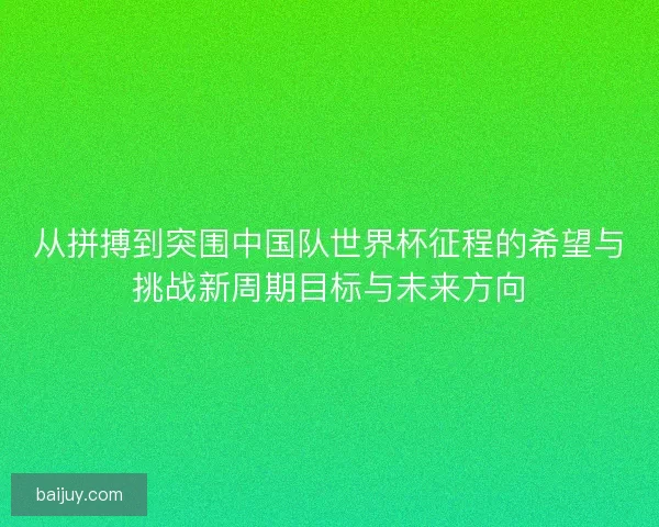 从拼搏到突围中国队世界杯征程的希望与挑战新周期目标与未来方向